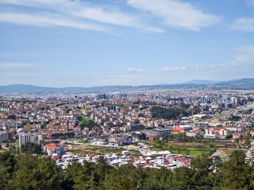 Bursa